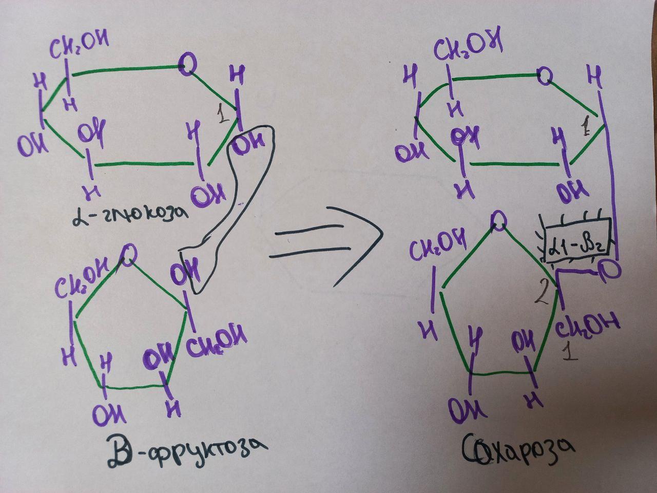 сахароза