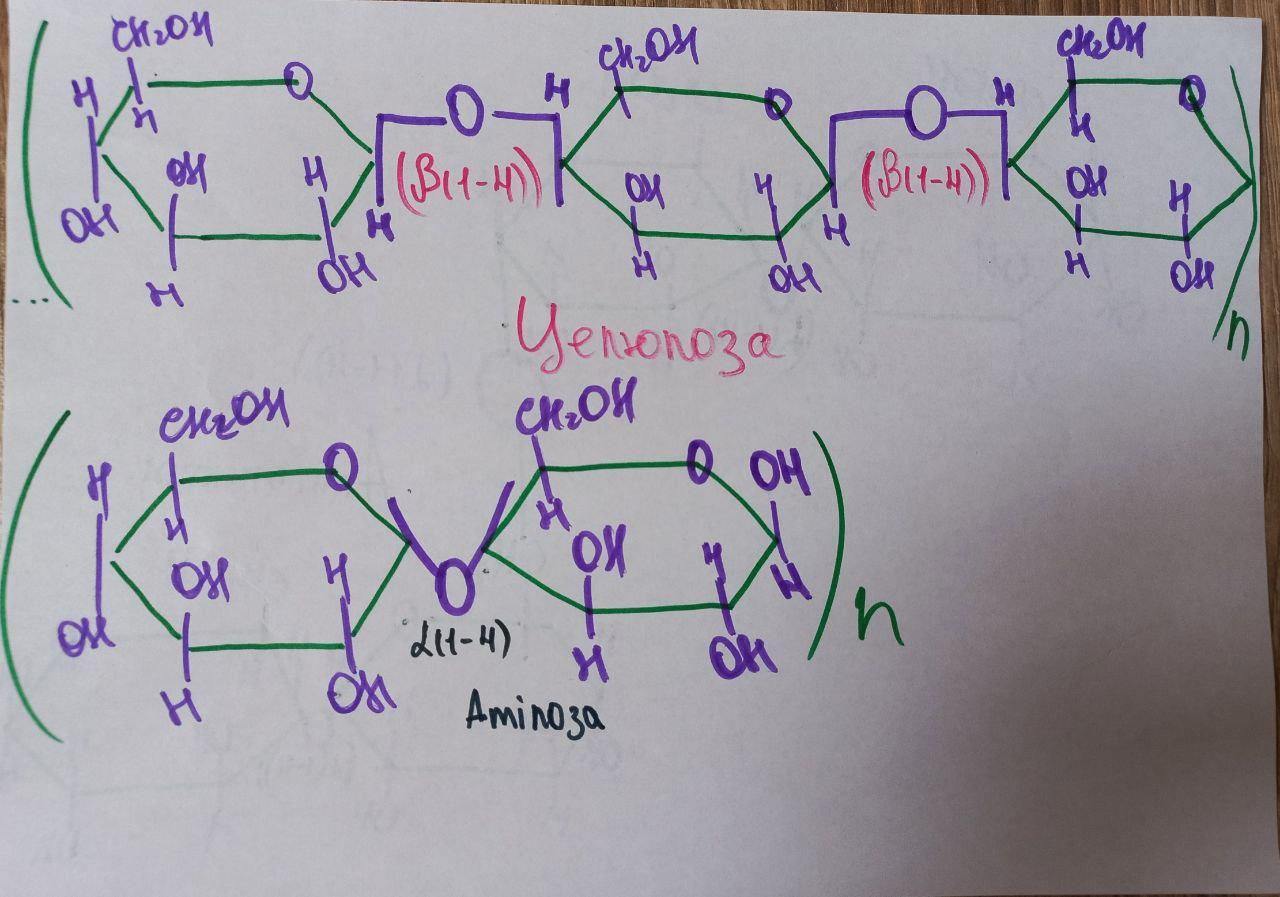 целлюлоза