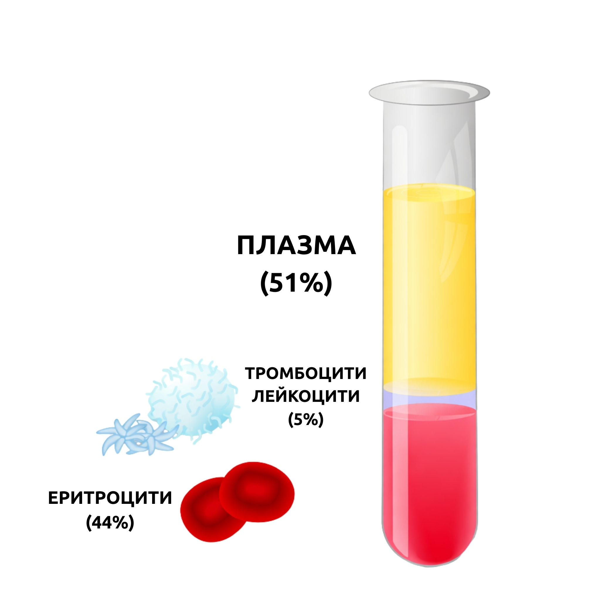 гематокрит