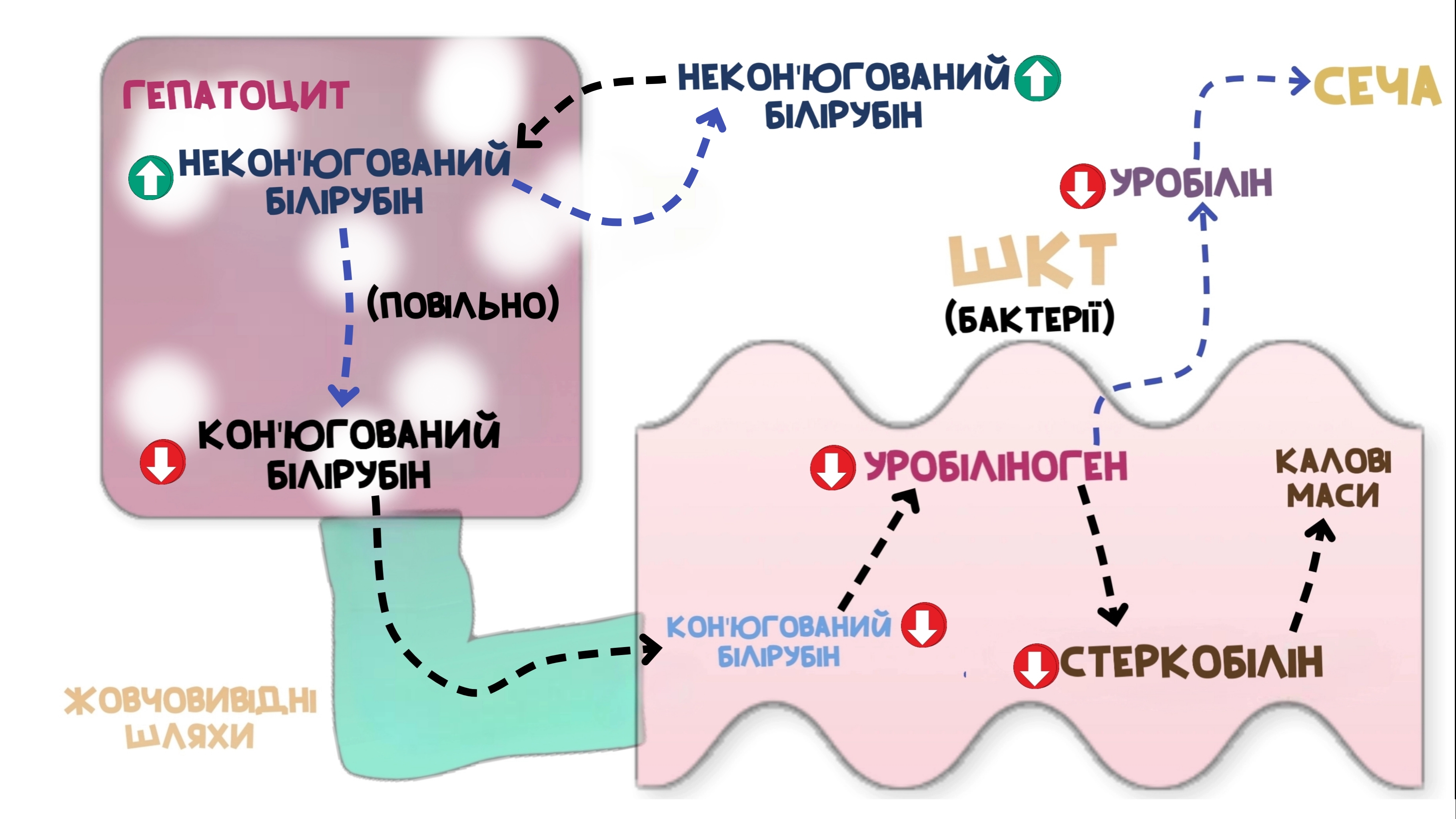 паренхіматозна жовтяниця