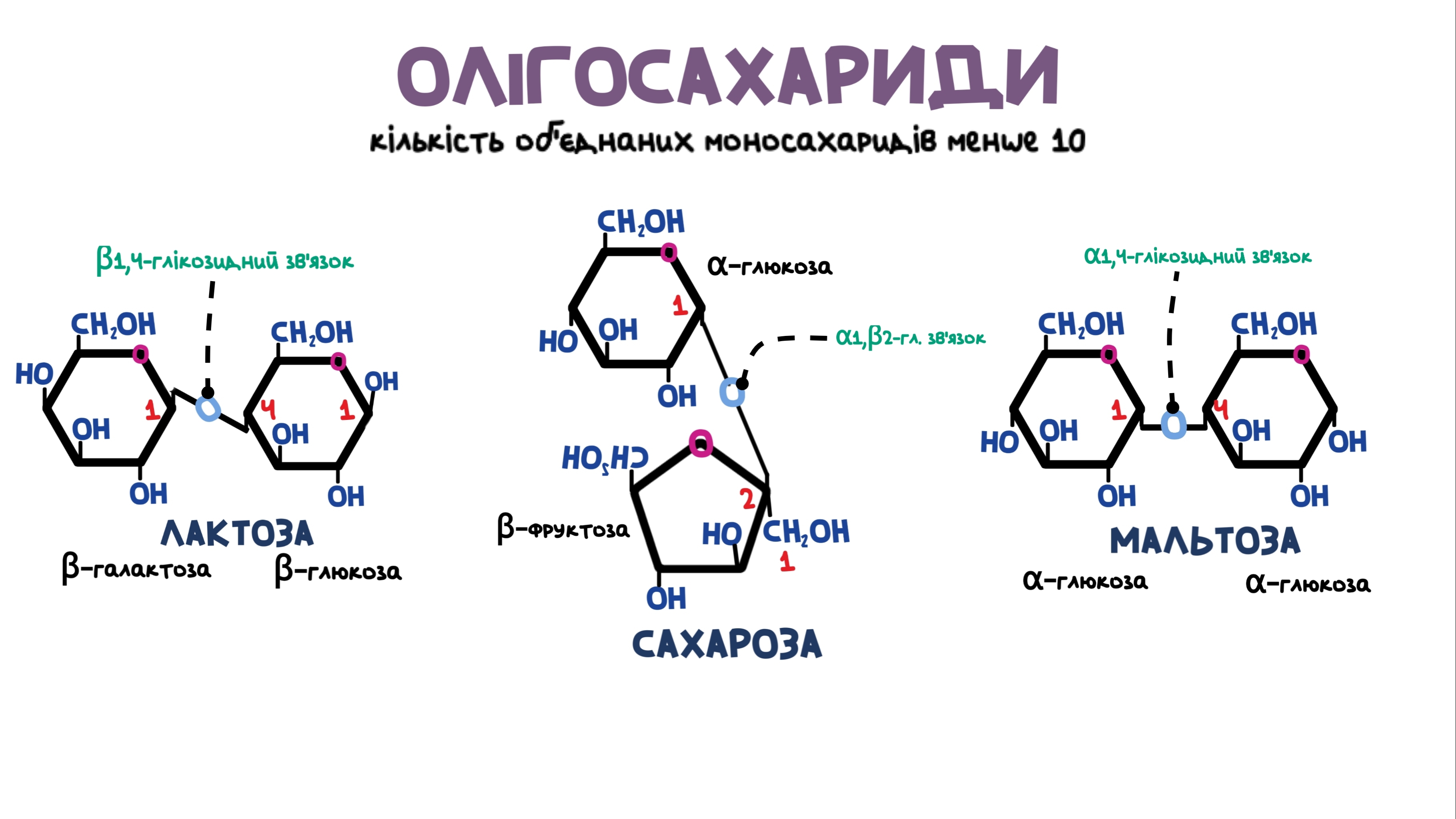 основні олігосахариди