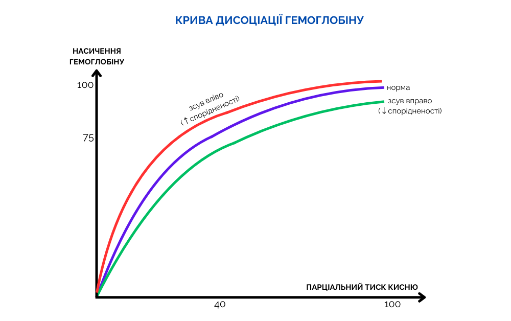 крива дисоціації гемоглобіну