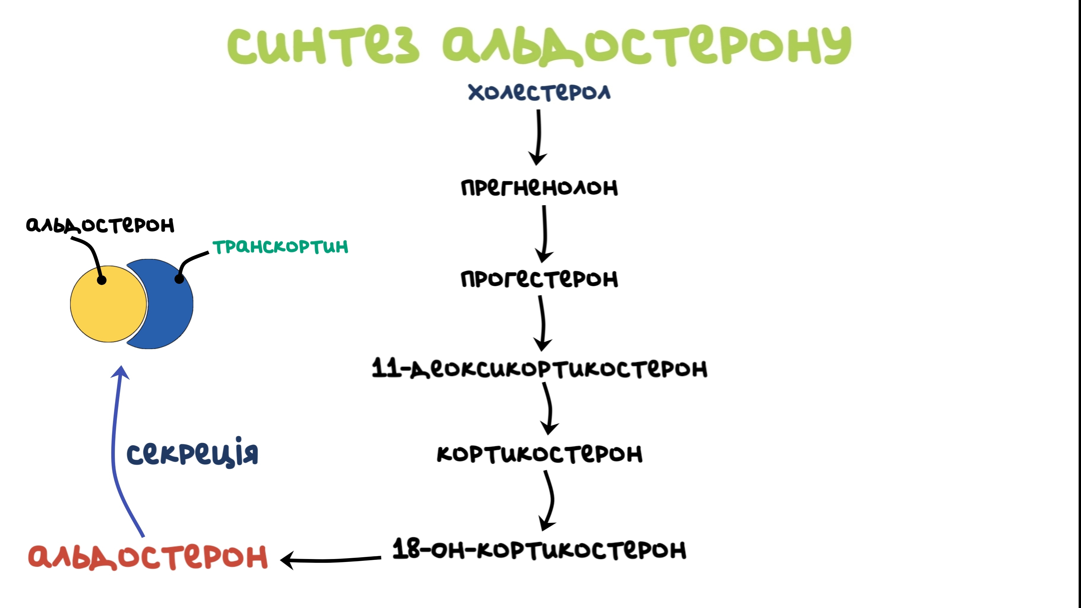 синтез альдостерону реакції