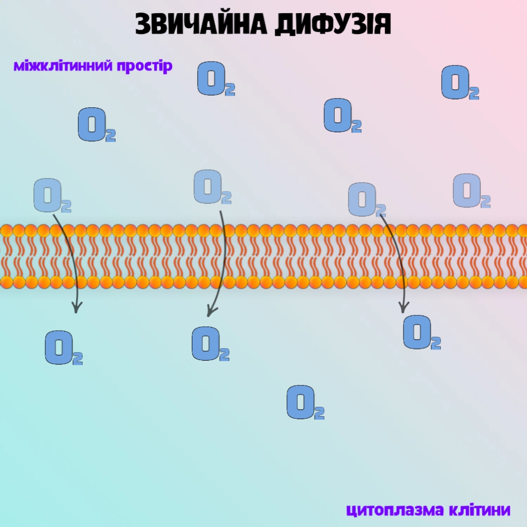 звичайна дифузія
