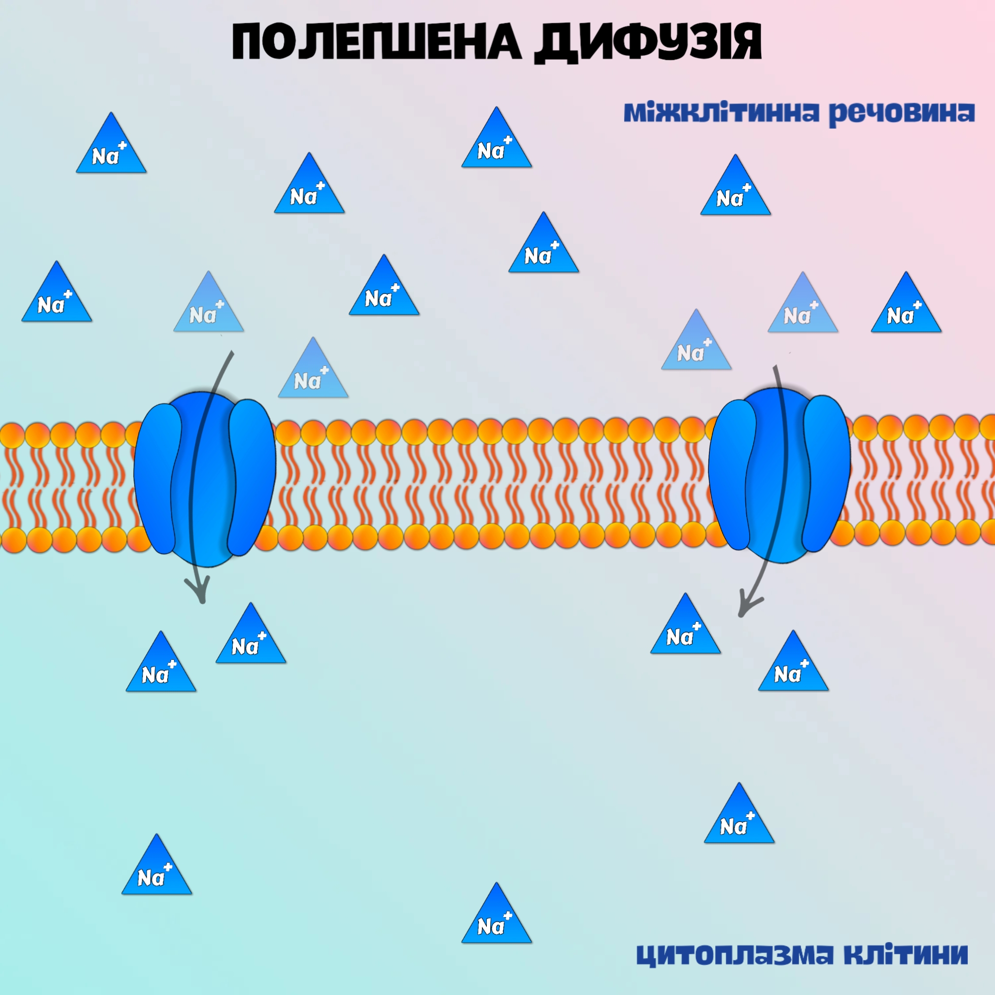 полегшена-дифузія