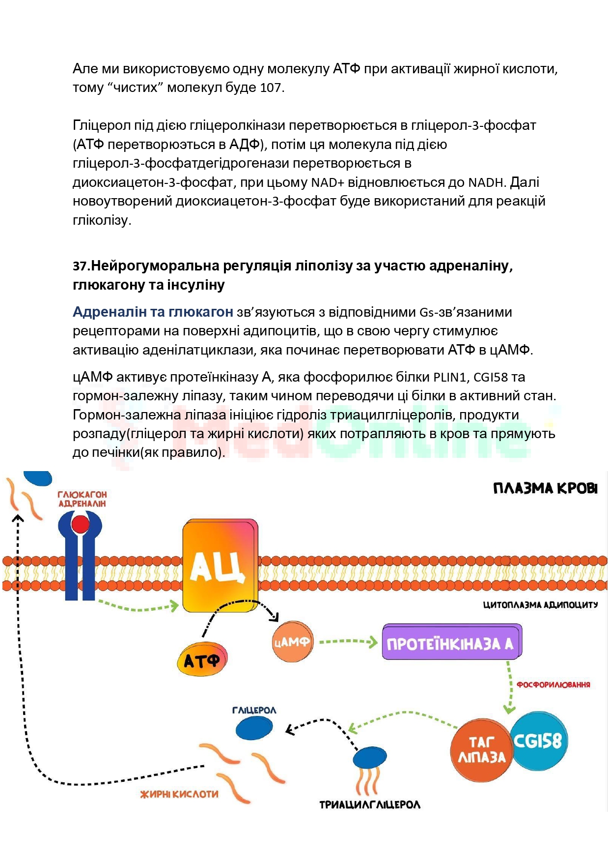 Приклад відповіді